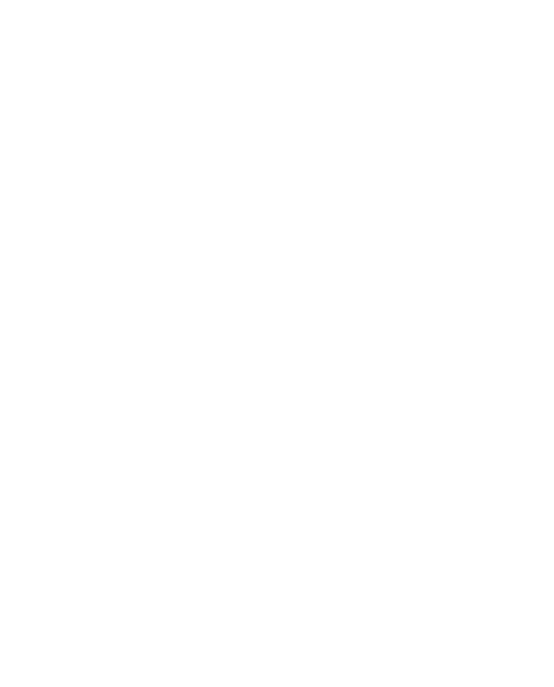 Das neue Logo in weiß gehalten von der Ritter-Schreck Zunft Mieterkingen.